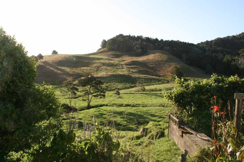 Nieuw-Zeeland 2011 - 0285